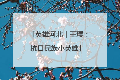英雄河北｜王璞：抗日民族小英雄