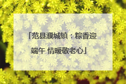 范县濮城镇：粽香迎端午 情暖敬老心