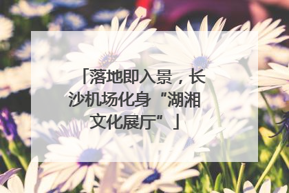 落地即入景，长沙机场化身“湖湘文化展厅”