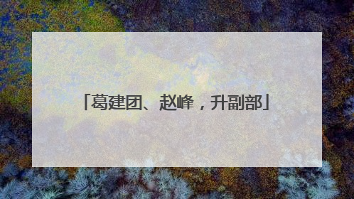 葛建团、赵峰，升副部