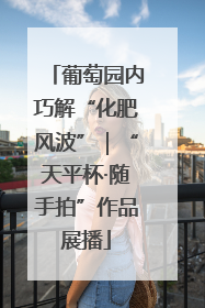 葡萄园内巧解“化肥风波”｜“天平杯·随手拍”作品展播