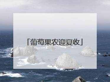葡萄果农迎夏收