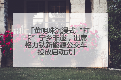董明珠沉浸式“打卡”宁乡非遗，出席格力钛新能源公交车投放启动式