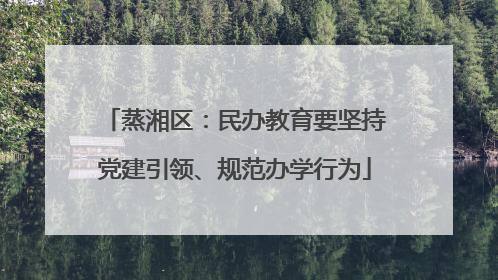 蒸湘区：民办教育要坚持党建引领、规范办学行为