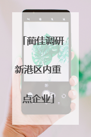 蔺佳调研新港区内重点企业