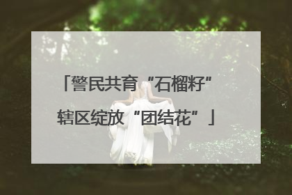 警民共育“石榴籽” 辖区绽放“团结花”