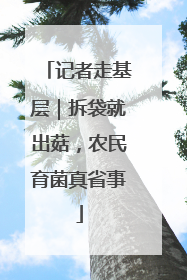 记者走基层｜拆袋就出菇，农民育菌真省事