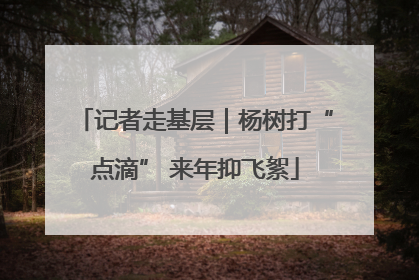 记者走基层｜杨树打“点滴” 来年抑飞絮