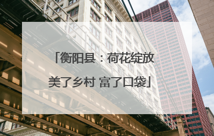 衡阳县：荷花绽放 美了乡村 富了口袋