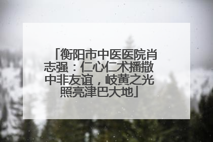 衡阳市中医医院肖志强：仁心仁术播撒中非友谊，岐黄之光照亮津巴大地