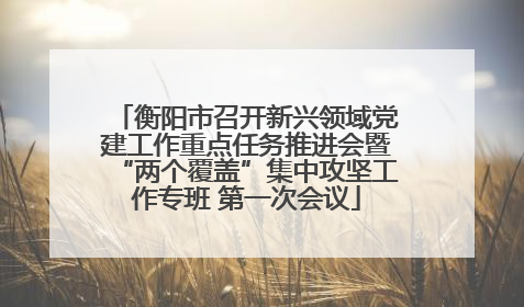 衡阳市召开新兴领域党建工作重点任务推进会暨“两个覆盖”集中攻坚工作专班 第一次会议