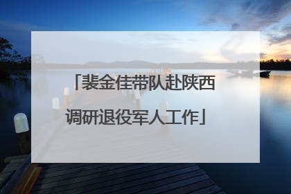 裴金佳带队赴陕西调研退役军人工作