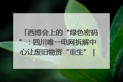 西博会上的“绿色密码”：四川唯一电网拆解中心让废旧物资“重生”｜西博寻“新”记
