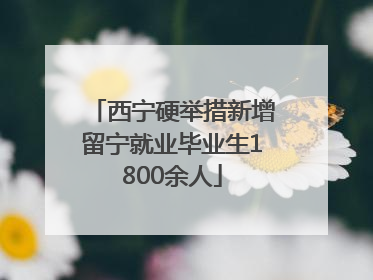 西宁硬举措新增留宁就业毕业生1800余人