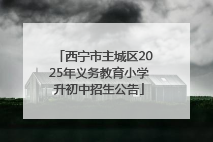 西宁市主城区2025年义务教育小学升初中招生公告