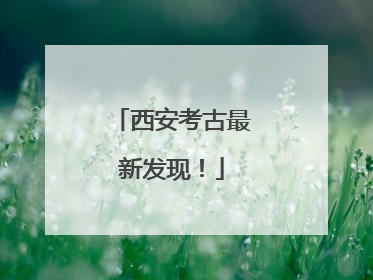 西安考古最新发现！