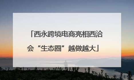 西永跨境电商亮相西洽会“生态圈”越做越大