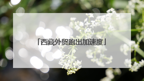 西藏外贸跑出加速度