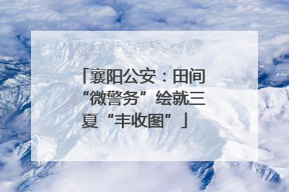 襄阳公安：田间“微警务”绘就三夏“丰收图”