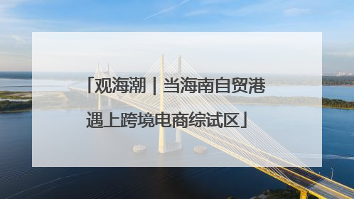 观海潮｜当海南自贸港遇上跨境电商综试区