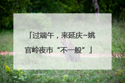 过端午，来延庆~姚官岭夜市“不一般”