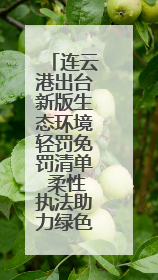 连云港出台新版生态环境轻罚免罚清单 柔性执法助力绿色发展