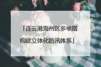 连云港海州区多举措构建立体化防汛体系