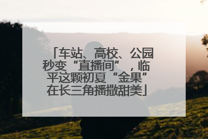 车站、高校、公园秒变“直播间”，临平这颗初夏“金果”在长三角播撒甜美