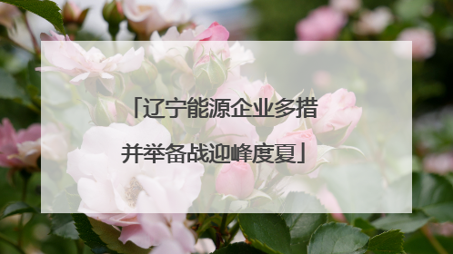 辽宁能源企业多措并举备战迎峰度夏