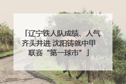 辽宁铁人队成绩、人气齐头并进 沈阳铸就中甲联赛“第一球市”