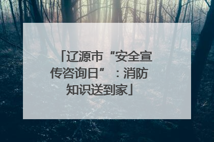 辽源市“安全宣传咨询日”：消防知识送到家