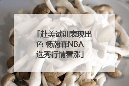 赴美试训表现出色 杨瀚森NBA选秀行情看涨