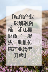 赋能产业，破解融资难！浦江县财政“三聚焦”助推传统产业转型升级