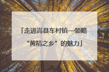 走进嵩县车村镇—领略“黄精之乡”的魅力
