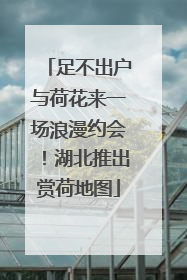 足不出户与荷花来一场浪漫约会！湖北推出赏荷地图