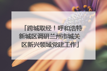 跨城取经！呼和浩特新城区调研兰州市城关区新兴领域党建工作