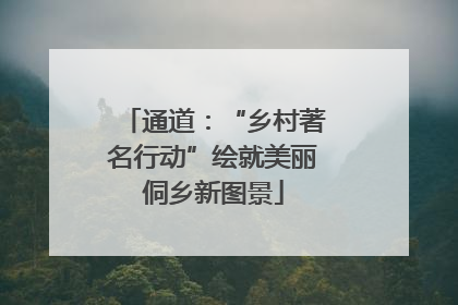 通道：“乡村著名行动”绘就美丽侗乡新图景
