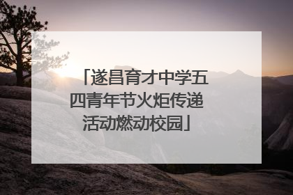遂昌育才中学五四青年节火炬传递活动燃动校园