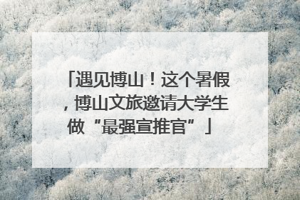 遇见博山！这个暑假，博山文旅邀请大学生做“最强宣推官”
