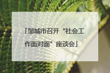 邹城市召开“社会工作面对面”座谈会