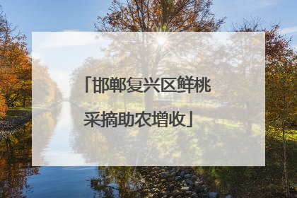 邯郸复兴区鲜桃采摘助农增收