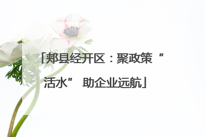 郏县经开区：聚政策“活水” 助企业远航