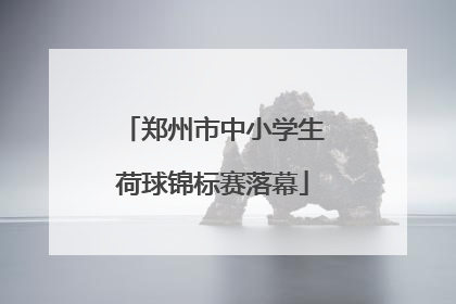 郑州市中小学生荷球锦标赛落幕