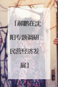 郝鹏在沈阳专题调研民营经济发展