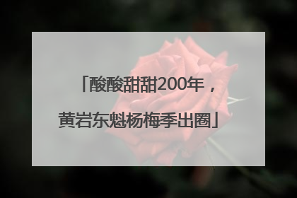 酸酸甜甜200年，黄岩东魁杨梅季出圈