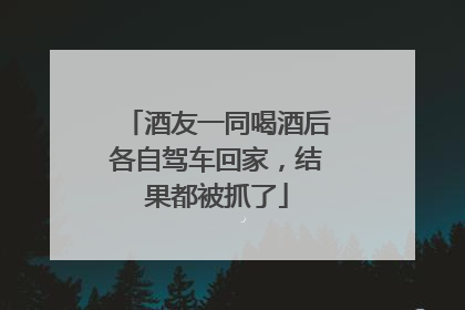 酒友一同喝酒后各自驾车回家，结果都被抓了