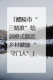 醴陵市“三精准”培训模式锻造乡村健康“守门人”