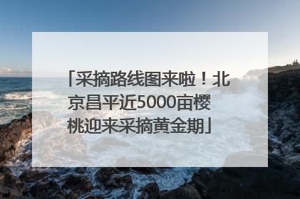 采摘路线图来啦！北京昌平近5000亩樱桃迎来采摘黄金期