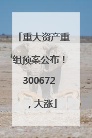 重大资产重组预案公布！300672，大涨