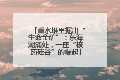 重水堆里掘出“生命金矿”：东海潮涌处，一座“核药硅谷”的崛起